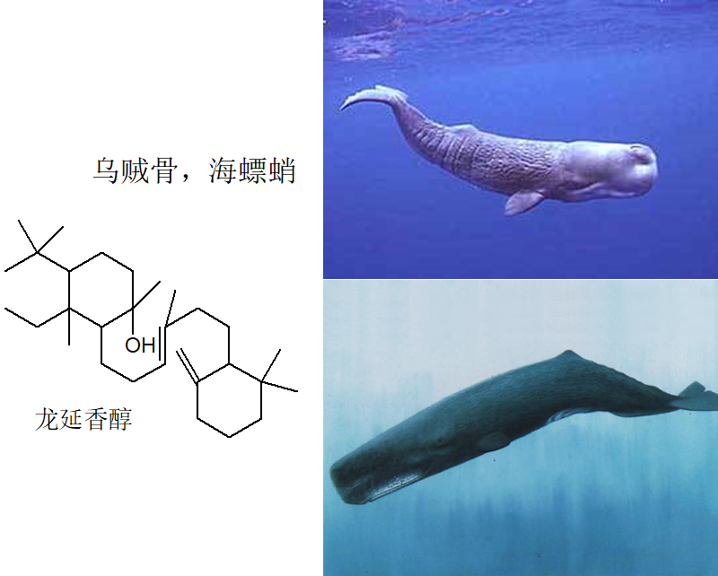 香精與香料(4)-天然香料