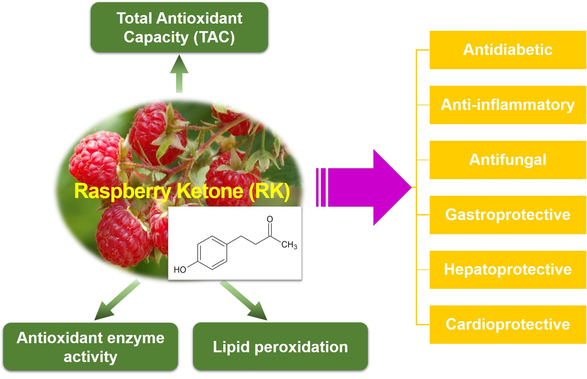 香精與香料(71)—覆盆子酮(Raspberry ketone)