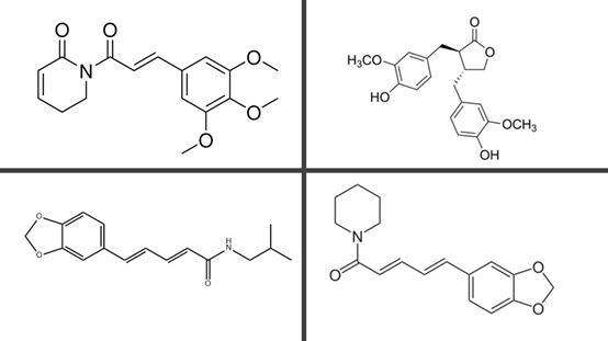 香精與香料(102)-蓽茇