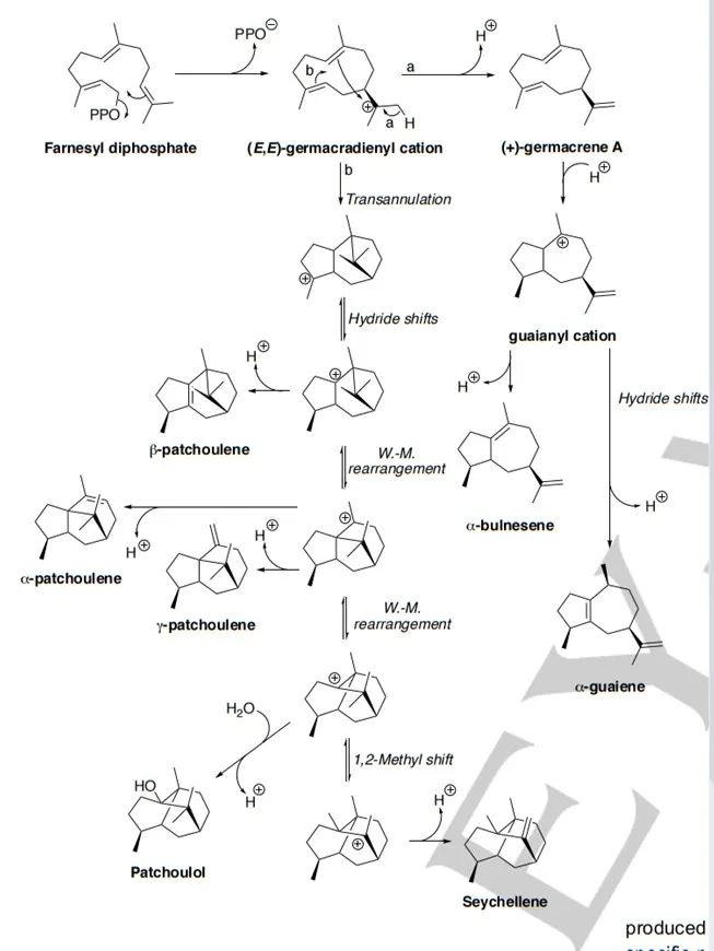 生物合成香料的化學(xué)組成、可持續(xù)性和天然性