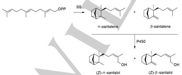 生物合成香料的化學(xué)組成、可持續(xù)性和天然性