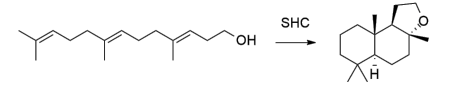 生物合成香料的化學(xué)組成、可持續(xù)性和天然性