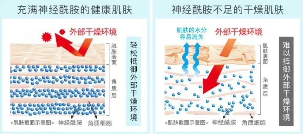 2022年護(hù)膚熱門功效成分有哪些？