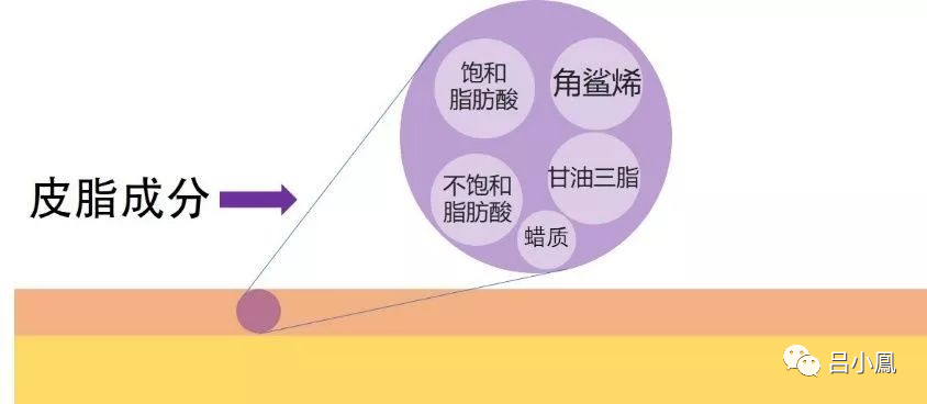 2022年護(hù)膚熱門功效成分有哪些？