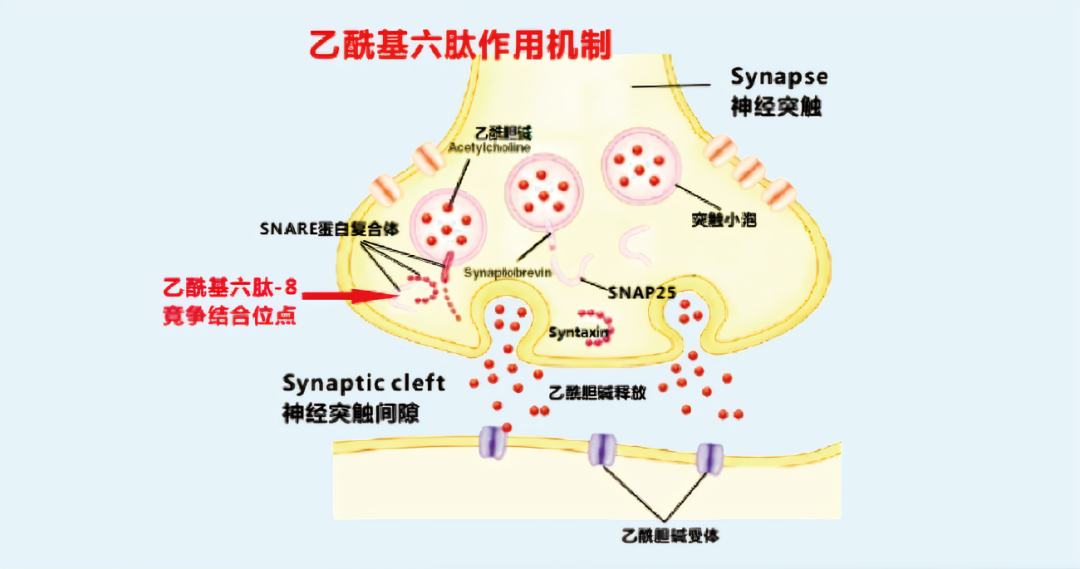 2022年護(hù)膚熱門功效成分有哪些？