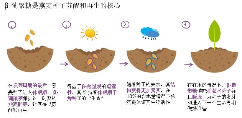 2022年護(hù)膚熱門功效成分有哪些？