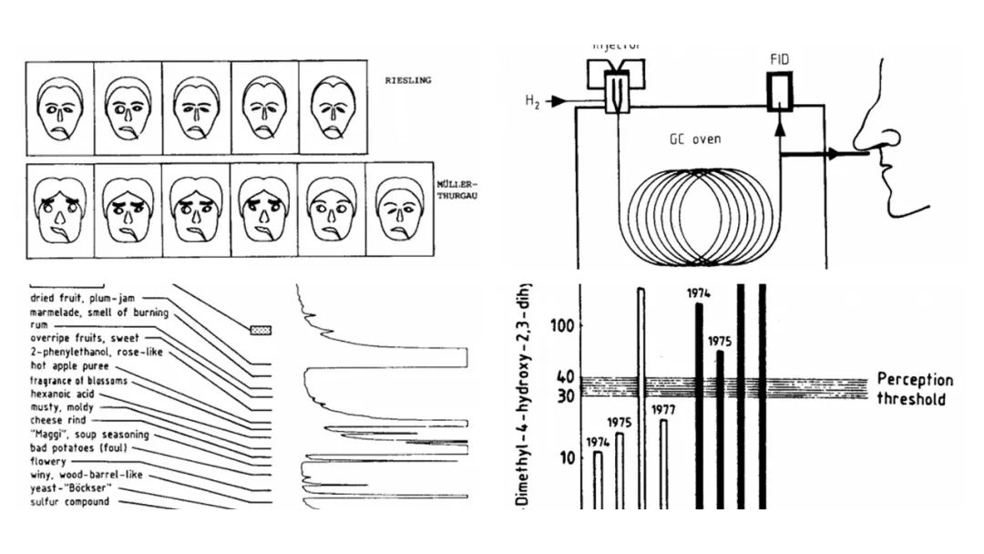 調(diào)香筆記(9)——多感官味覺(jué)感知:感官內(nèi)部和感官之間的調(diào)和、混合、融合和配對(duì)