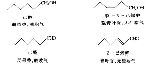 香料的分子結(jié)構(gòu)與香氣的關(guān)系