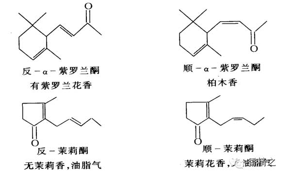 香料的分子結(jié)構(gòu)與香氣的關(guān)系