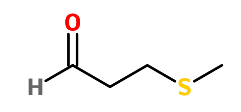 香水中的皮革氣息