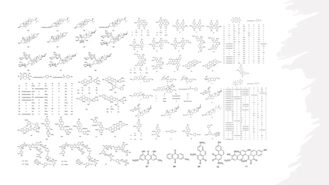 香精與香料(105)—白芨